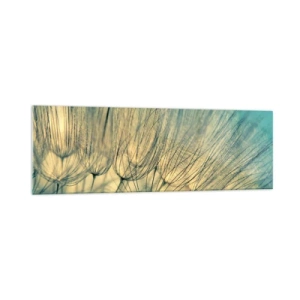 Quadro su vetro - Macrofotografia dei denti di leone alla luce del giorno - 160x50cm - Aspettando il vento - Decorazione murale moderna per soggiorno e camera da letto ARTTOR