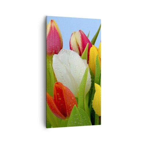 Quadro su tela - Stampe su Tela - Fiori multicolori nella rugiada - 55x100 cm