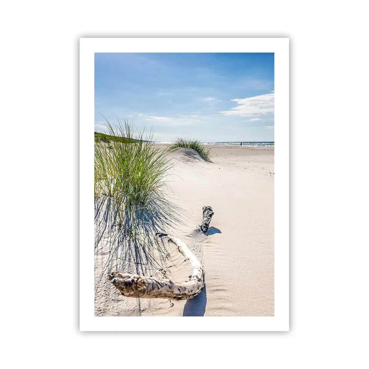 Poster - Spiaggia con dune, erba e rami alla luce del sole - 50x70cm - La più bella? Quella del baltico - Decorazione murale moderna per soggiorno e camera da letto ARTTOR