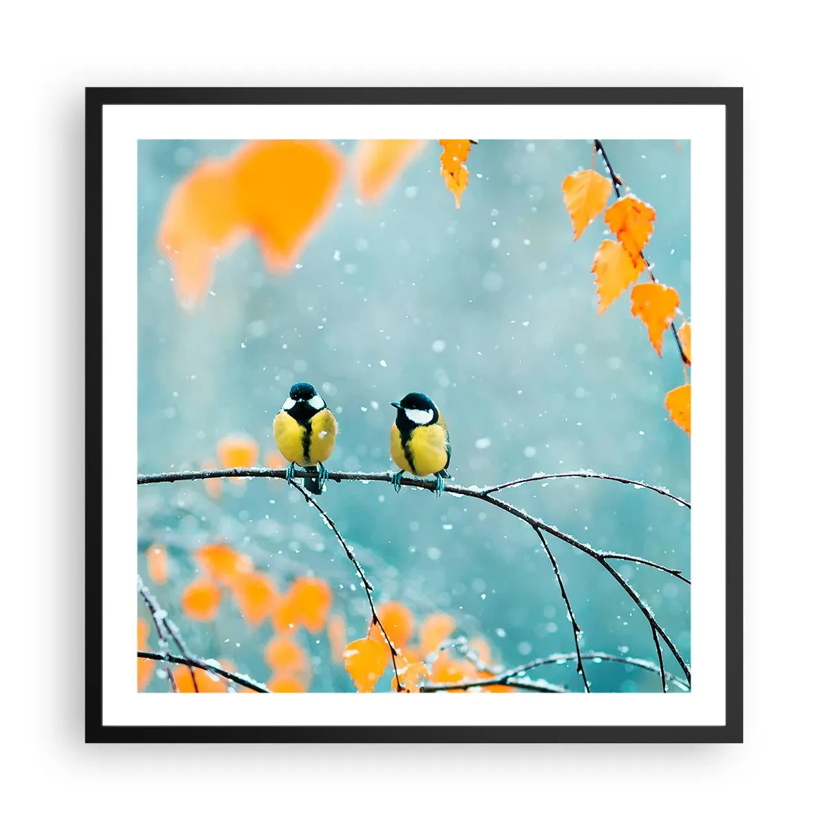 Poster in cornice nera - Pettegolezzi alati - 60x60 cm