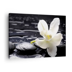 Quadro su tela - Stampe su Tela - Un'orchidea bianca su uno sfondo di pietre nere e acqua. - 70x50cm - Studio in bianco e nero - Decorazione murale moderna per soggiorno e camera da letto ARTTOR