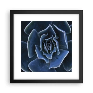 Poster in cornice nera - Fiore del deserto - 30x30 cm