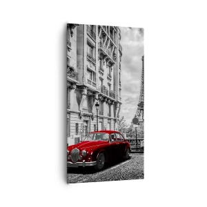 Quadro su tela - Stampe su Tela - Predatore in città - 65x120 cm