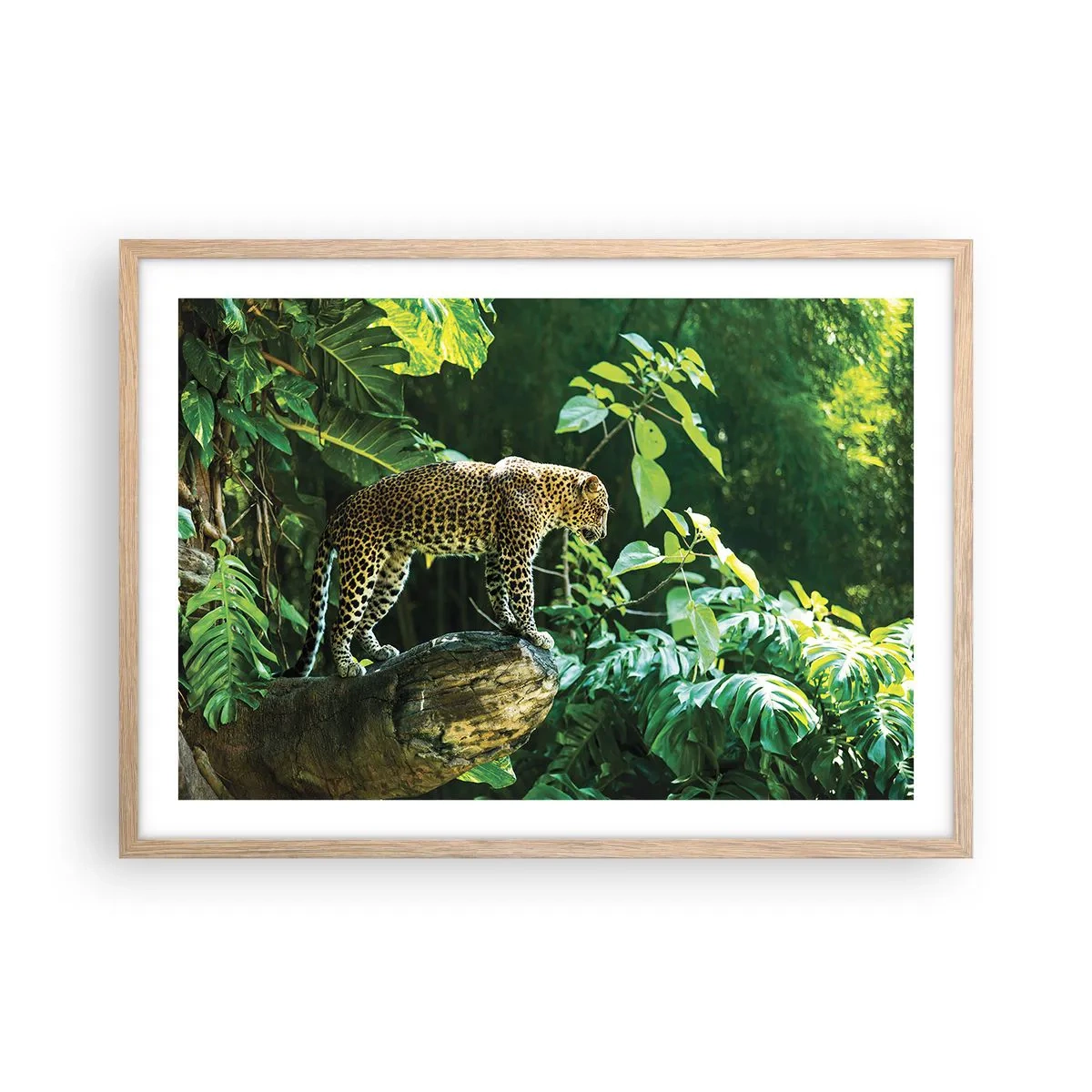 Poster in cornice rovere chiaro - A caccia? - 70x50 cm
