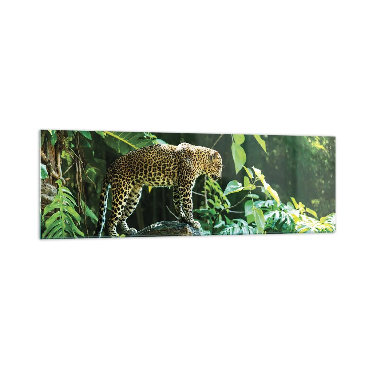 Quadro su vetro - Un leopardo in piedi su una roccia circondato da vegetazione tropicale - 160x50cm - A caccia? - Decorazione murale moderna per soggiorno e camera da letto ARTTOR
