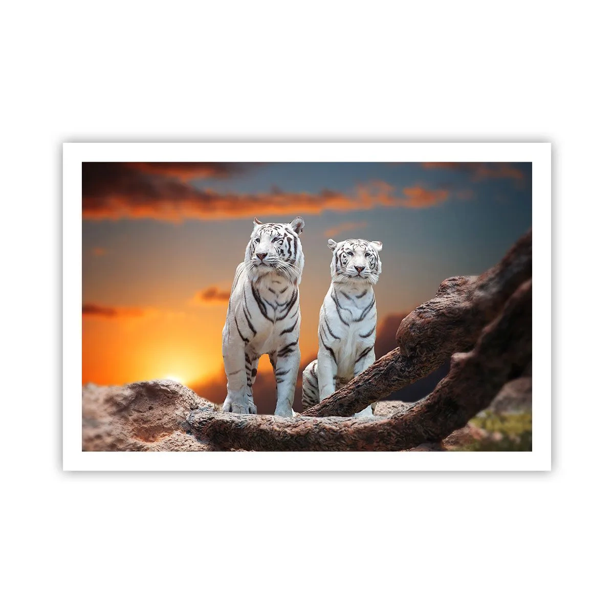 Poster - Proprio come a Narnia - 91x61 cm