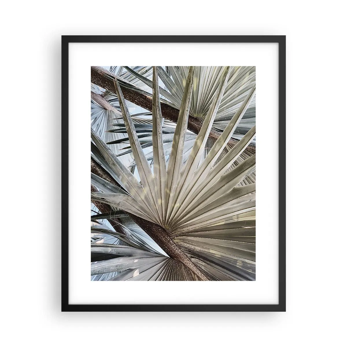 Poster in cornice nera - Ventagli dei tropici - 40x50 cm