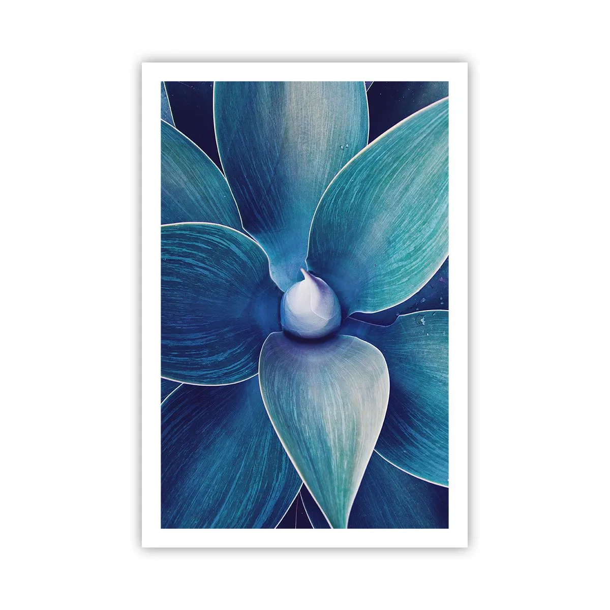 Poster - Imbluito dal sole - 61x91 cm