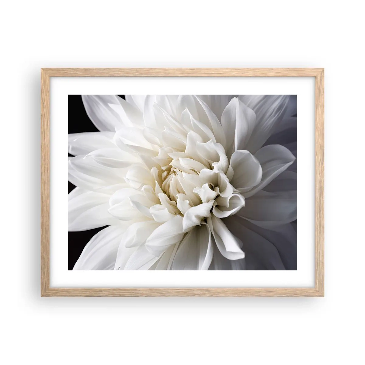Poster in cornice rovere chiaro - Il mattino della sposa - 50x40 cm