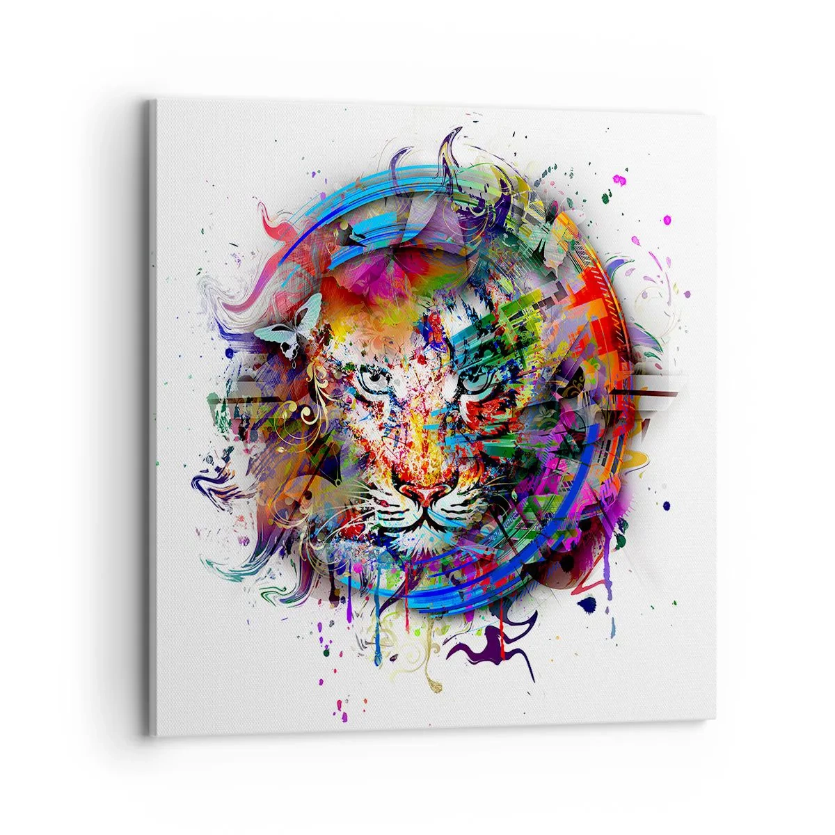 Quadro su tela - Stampe su Tela - Si nasconde dietro un velo arcobaleno - 70x70 cm