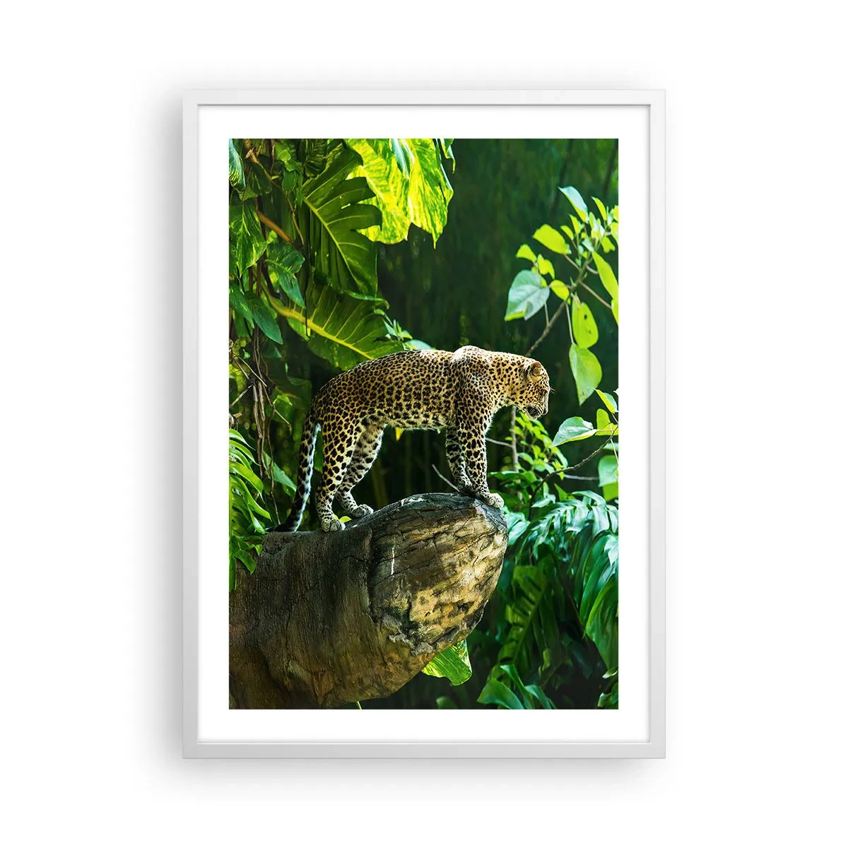 Poster in cornice bianca - A caccia? - 50x70 cm