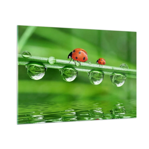 Quadro su vetro - Coccinelle su un filo d'erba con gocce di rugiada e riflesso nell'acqua - 100x70cm - In cammino per tutta l'estate - Decorazione murale moderna per soggiorno e camera da letto ARTTOR
