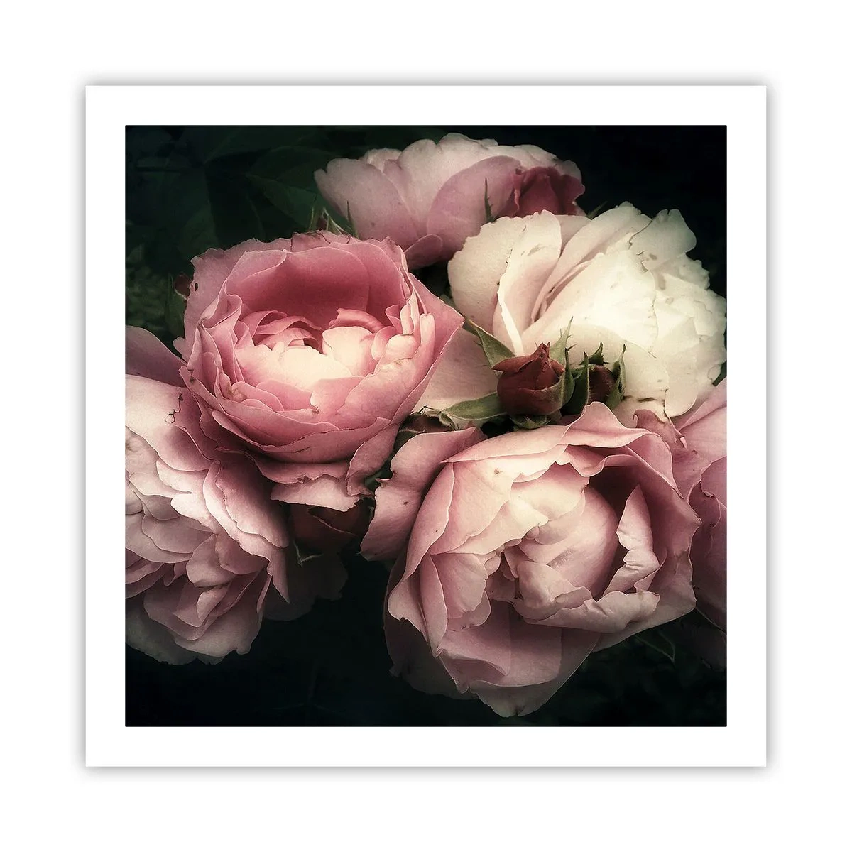 Poster - Il fascino della Belle Époque - 60x60 cm