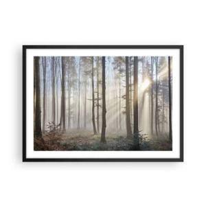 Poster in cornice nera - Una foresta in una leggera nebbia con raggi di sole che brillano attraverso gli alberi - 70x50cm - Anche la nebbia si è svegliata - Decorazione murale moderna per soggiorno e camera da letto ARTTOR