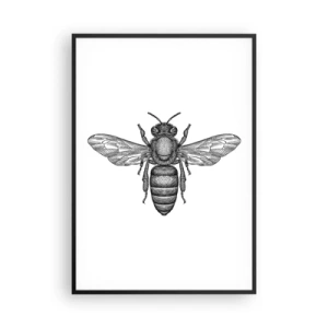 Poster in cornice nera - Ritratto d'insetto - 70x100 cm