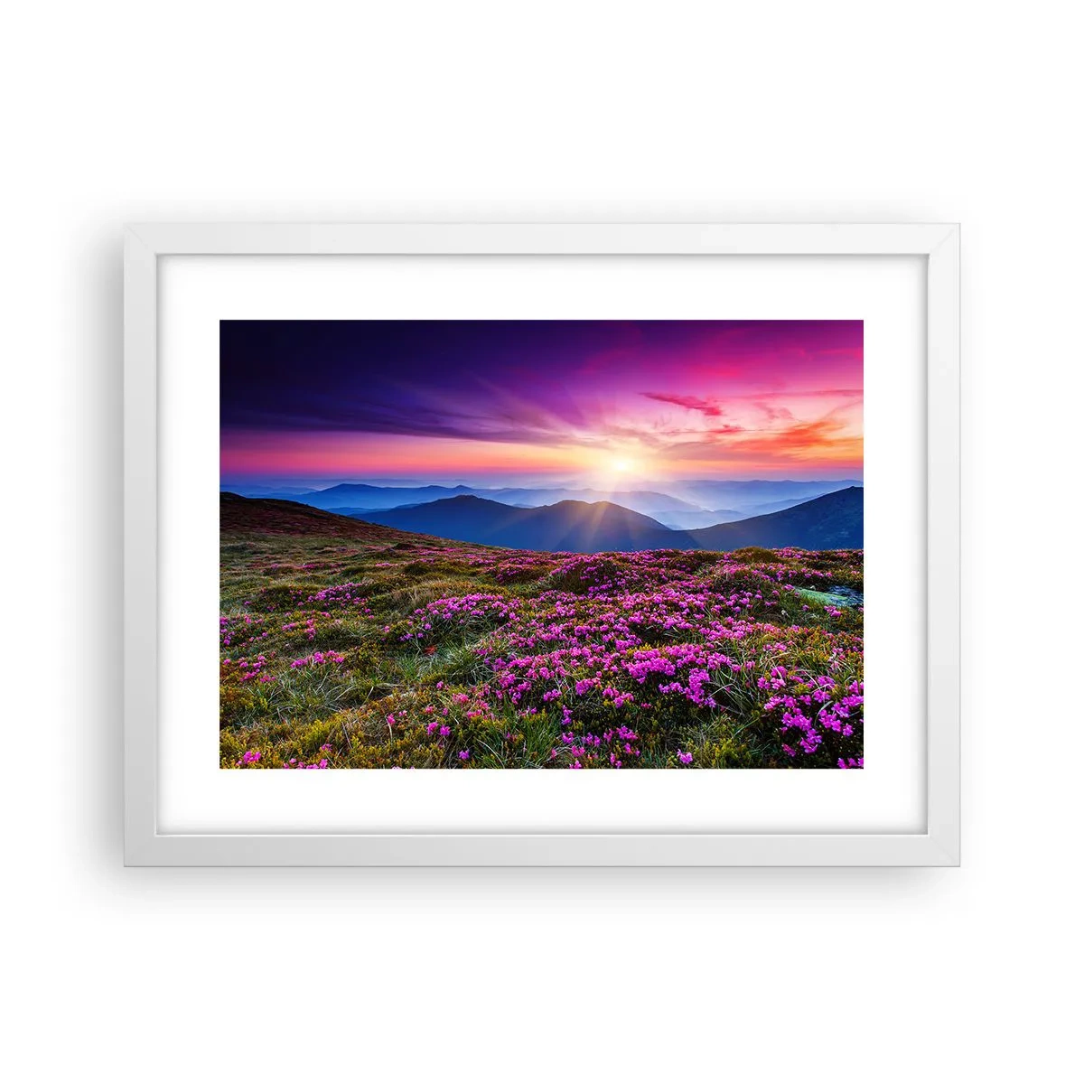 Poster in cornice bianca - Il profumo dei fiori freschi del campo - 40x30 cm