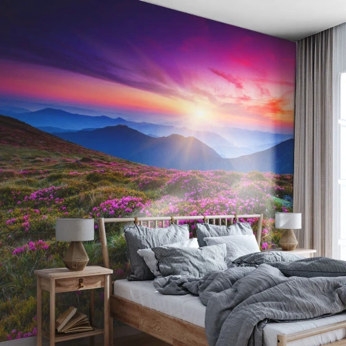 Fotomurale su misura Premium Sand - Il profumo dei fiori freschi del campo - Paesaggio, Montagne, Fiori