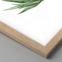 Rovere chiaro