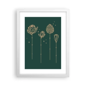 Poster in cornice bianca - La famiglia delle erbe - 30x40 cm