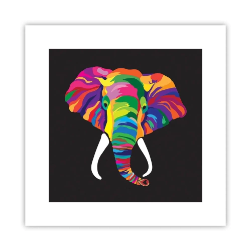 Poster - L'elefante che faceva il bagno nell'arcobaleno - 30x30 cm