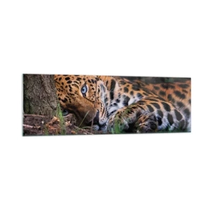 Quadro su vetro - Un leopardo sdraiato all'ombra degli alberi - 160x50cm - Fidati di me - Decorazione murale moderna per soggiorno e camera da letto ARTTOR