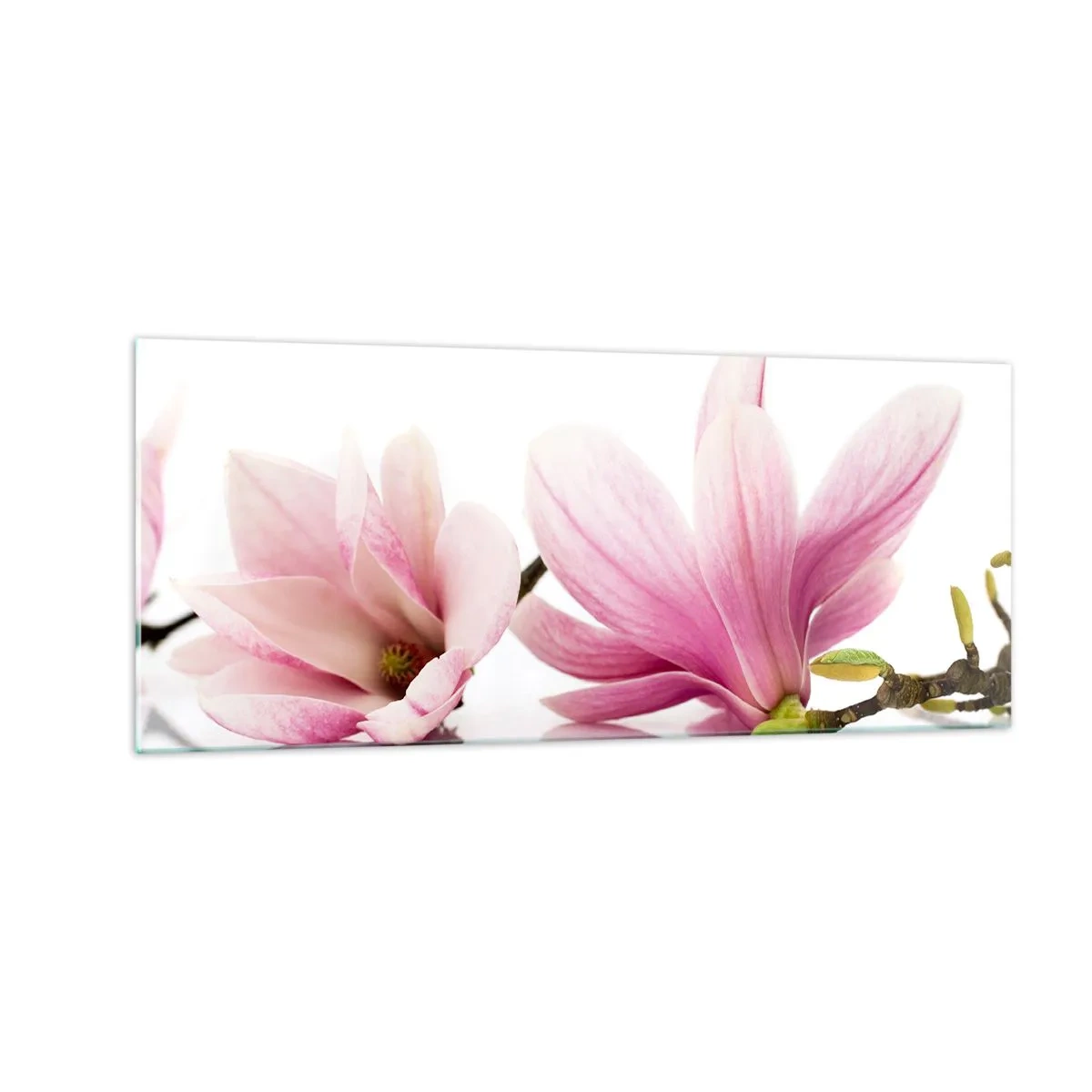 Quadro su vetro - Delicati come un soffio di primavera - 100x40 cm