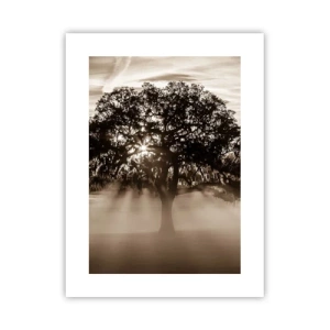 Poster - L'albero delle sole buone notizie - 30x40 cm