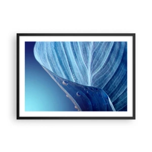 Poster in cornice nera - Una foglia blu con gocce d'acqua visibili - 70x50cm - Gocce di blu nascoste - Decorazione murale moderna per soggiorno e camera da letto ARTTOR