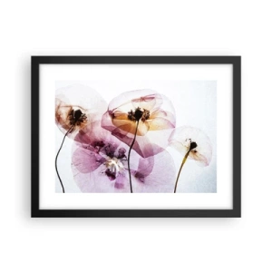 Poster in cornice nera - Fiori trasparenti - 40x30 cm