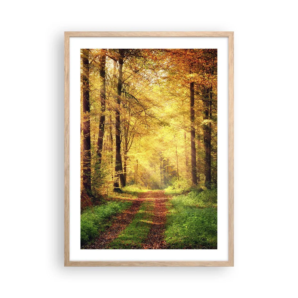 Poster in cornice rovere chiaro - Il silenzio d'oro del bosco - 50x70 cm