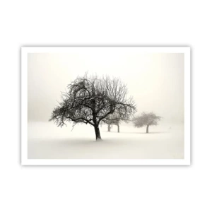 Poster - Alberi in un campo innevato circondato dalla nebbia - 100x70cm - Sogno invernale - Decorazione murale moderna per soggiorno e camera da letto ARTTOR