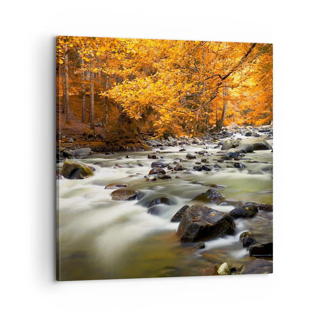 Quadro su tela - Stampe su Tela - Ruscello nel bosco dorato - 60x60 cm