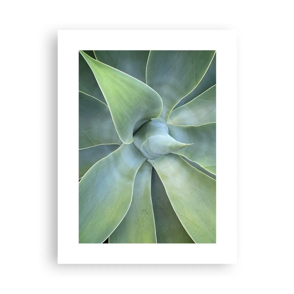 Poster - La nascita del verde - 30x40 cm