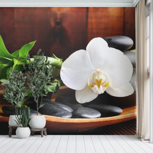 Fotomurali Autoadesivo Deluxe Sticker - Lasciati toccare dalla natura - Fiori, Orchidea, Orchidea - 250x175 cm
