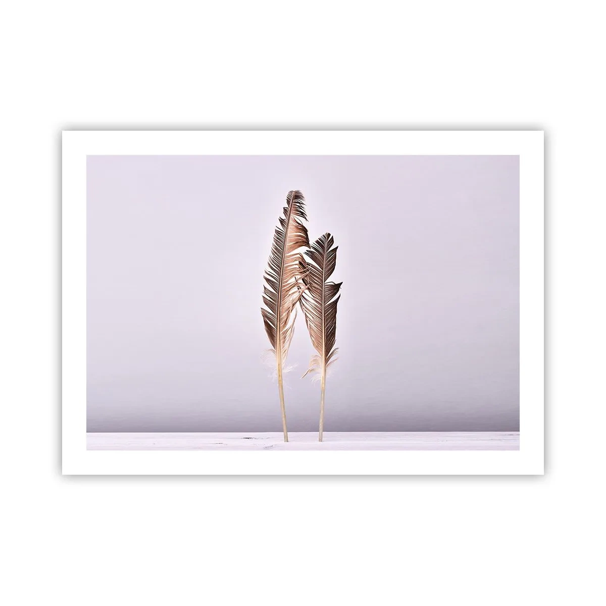 Poster - Contro il nulla - 70x50 cm