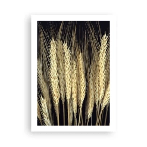 Poster - Primo piano di spighe di grano su sfondo nero - 50x70cm - Magia rustica - Decorazione murale moderna per soggiorno e camera da letto ARTTOR
