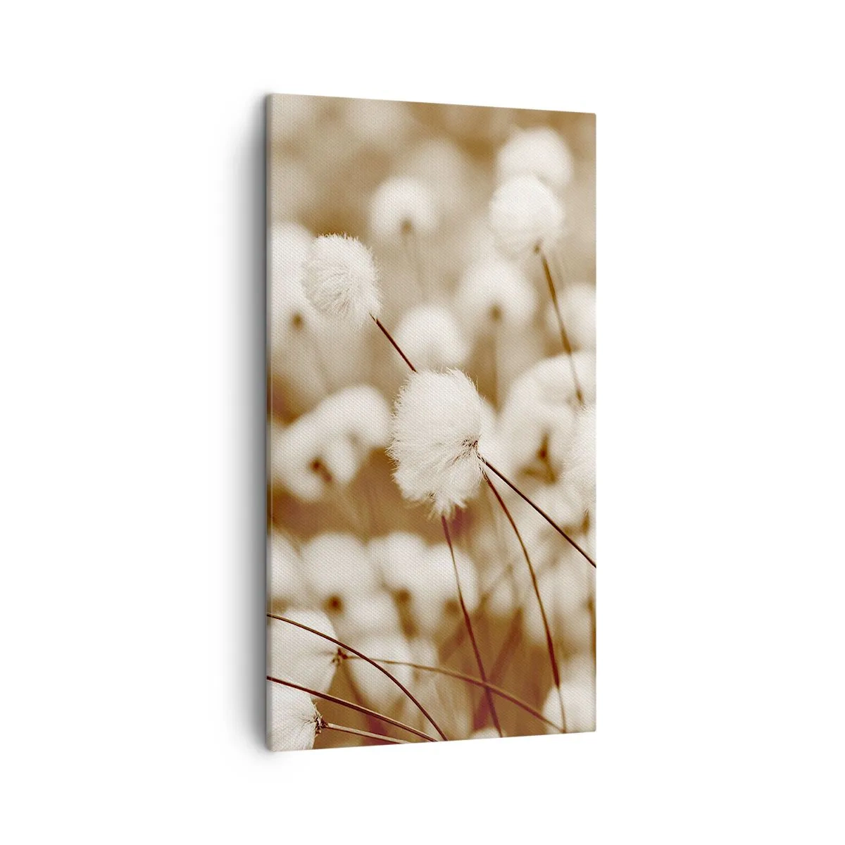 Quadro su tela - Stampe su Tela - Campo di morbidezza - 45x80 cm