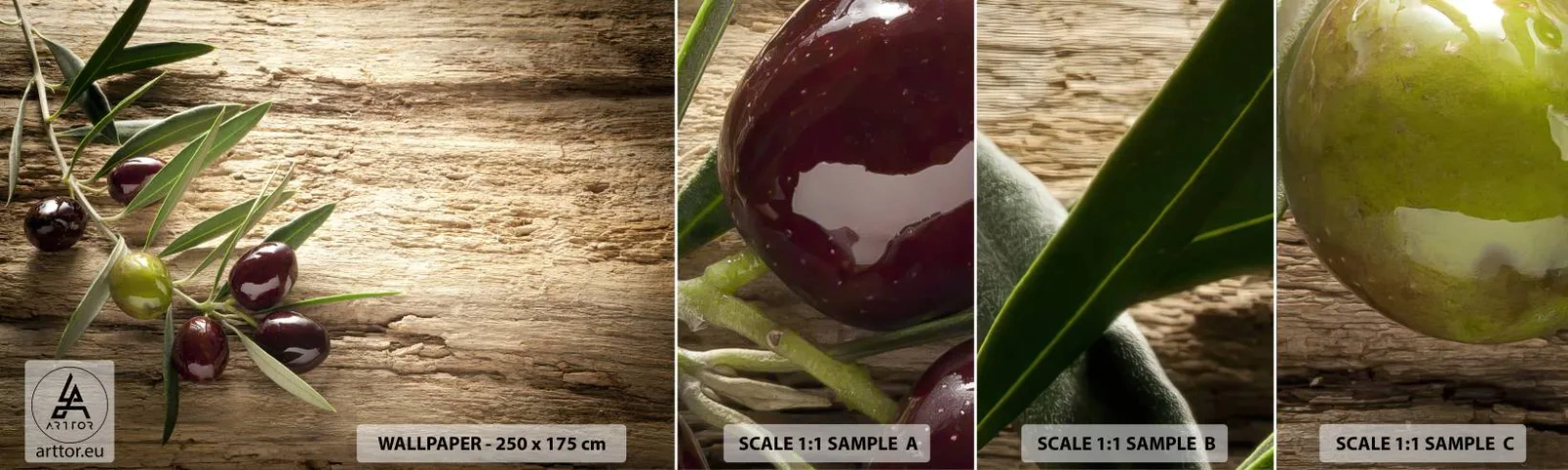 Campione Di Fotomurale Standard Eco - Direttamente dalla natura - Ramo d'olivo, Natura, Olive - 100x30 cm