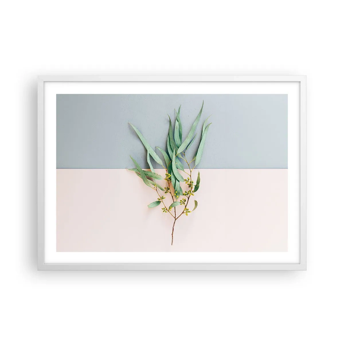 Poster in cornice bianca - Delicatezza pastello - 70x50 cm