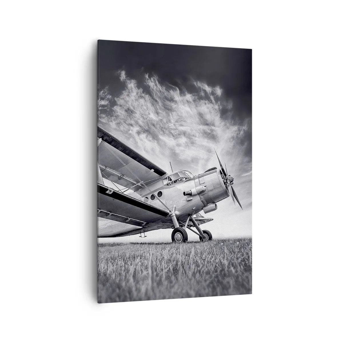 Quadro su tela - Stampe su Tela - Un aereo contro un cielo drammatico in bianco e nero - 80x120cm - Giramondo alato - Decorazione murale moderna per soggiorno e camera da letto ARTTOR