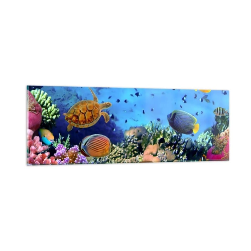 Quadro su vetro - Ma cosa sappiamo della vita... - 90x30 cm