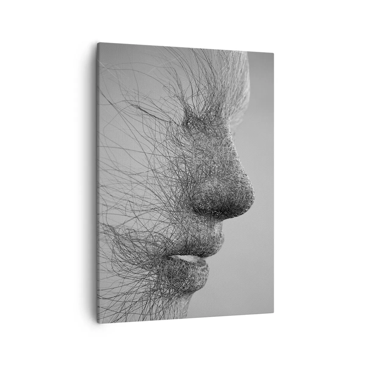 Quadro su tela - Stampe su Tela - Profilo facciale artistico creato con linee delicate - 50x70cm - Lo spirito del vento - Decorazione murale moderna per soggiorno e camera da letto ARTTOR