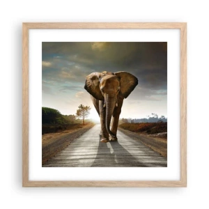 Poster in cornice rovere chiaro - E non nel negozio di cristalli - 40x40 cm