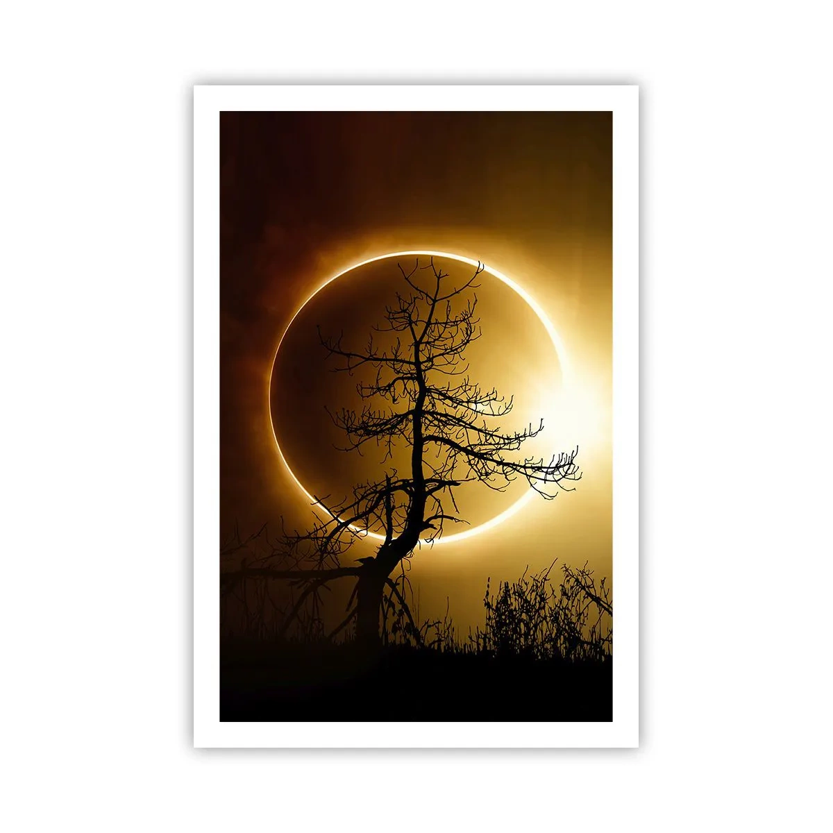 Poster - Eclissi totale - 61x91 cm
