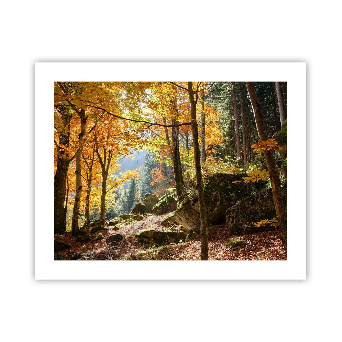 Poster - Il tempo del riposo - 50x40 cm