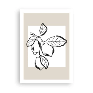 Poster - Un'illustrazione minimalista di un ramo di limone in stile bianco e nero. - 50x70cm - Dove i limoni maturano... - Decorazione murale moderna per soggiorno e camera da letto ARTTOR