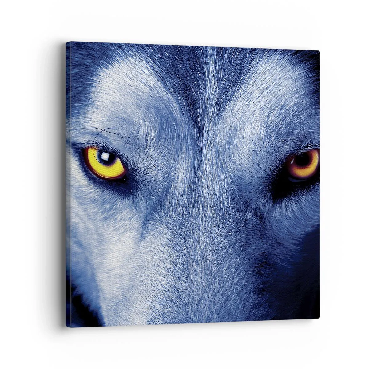 Quadro su tela - Stampe su Tela - Sguardo ipnotico - 40x40 cm