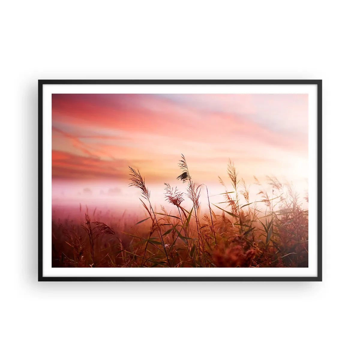 Poster in cornice nera - Un campo d'erba sullo sfondo di un pittoresco tramonto - 100x70cm - Aquiloni, denti di leone, vento - Decorazione murale moderna per soggiorno e camera da letto ARTTOR