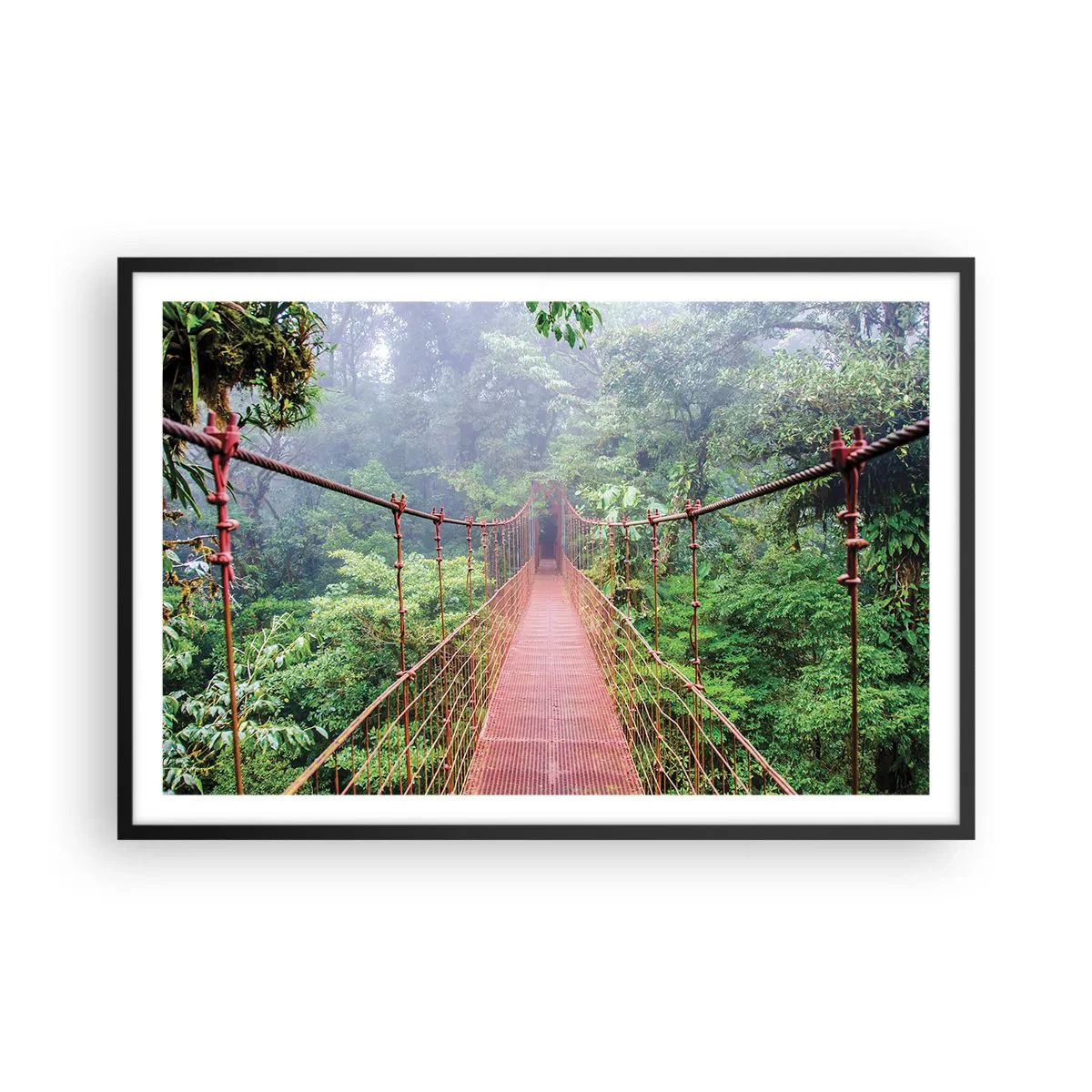 Poster in cornice nera - Sospeso sopra gli alberi - 91x61 cm