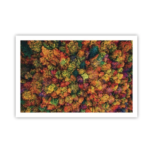 Poster - Il bouquet degli alberi d'autunno - 91x61 cm